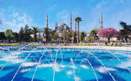 Istanbul Free Combo Tour of the Hagia Sophia, Blue Mosque and Topkapi Palace Garden - 10